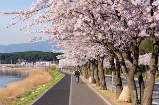 Sorrento e la città turistica coreana Gangneung sono gemellate