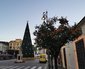 Al via il concorso di ricette di dolci con le arance di Sorrento