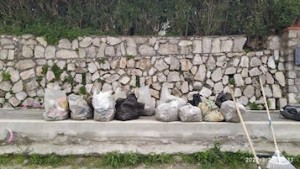 bonifica-marina-lobra-5