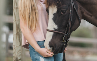 Riapre il Centro di riabilitazione equestre di Piano di Sorrento