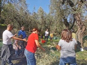 Giornata contadina a Sorrento, un successo