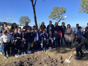 Festa dell’Albero a Sorrento, piantati i due Pini a marina Piccola