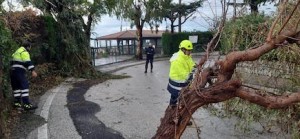 intervento-protezione-civile-massa-lubrense-alberi-caduti-2