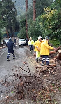 intervento-protezione-civile-massa-lubrense-alberi-caduti