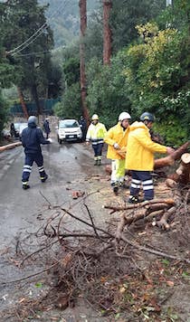 Maltempo, in penisola sorrentina alberi caduti e blackout