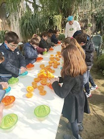 Spremuta Day, appuntamento con i bambini di Piano di Sorrento