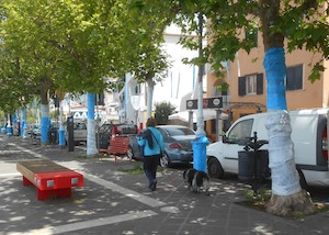 Volontari Wwf rimuovo i festoni per lo scudetto del Napoli in penisola sorrentina: Alberi a rischio