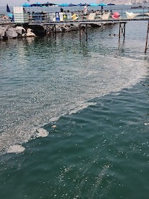 Schiuma in mare ed acque torbide in penisola sorrentina, intervento del direttore dell’Amp Punta Campanella