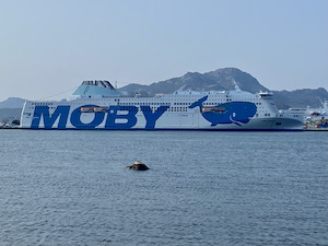 Msc salva Moby, Aponte compra il 49% della società di Onorato