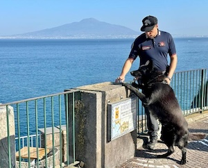 Pusher incensurato arrestato dai carabinieri di Sorrento grazie al fiuto di Attila