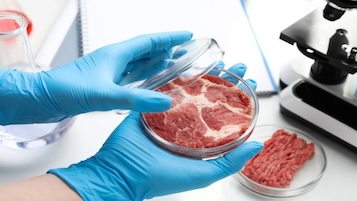 L’Italia dice no alla carne coltivata