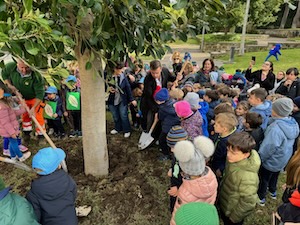 I bambini di Sorrento piantano un albero con il sindaco. Censito il patrimonio verde della città