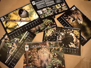 calendario-2024-wwf