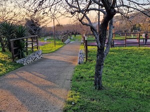 Massa Lubrense. Parco di via Reola, telecamere contro i vandali