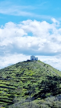 Al Comune di Massa Lubrense 600mila euro per la riforestazione di monte San Costanzo