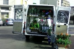 Festa della mamma, il sindaco di Sorrento contro i venditori abusivi di fiori