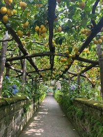 Sorrento. Il maestro gelataio Sergio Colalucci presenta la “Crema di Cataldo”