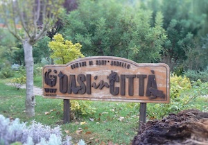 Sant’Agnello. Concerti di musica rock all’Oasi in Città