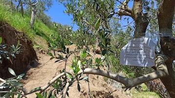 Abusi in penisola sorrentina segnalati al Wwf, raffica di sequestri