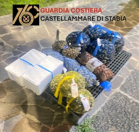 Due quintali di pescato non tracciato sequestrati dalla Capitaneria stabiese