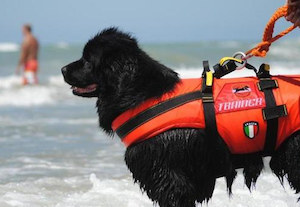 Piano di Sorrento. Simulazione soccorso per annegamento