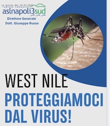 West Nile, nessun caso nel territorio dell’Asl Napoli 3 Sud. Come difendersi