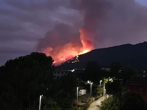 Incendi. Il Wwf: Prevenire costa meno che spegnere
