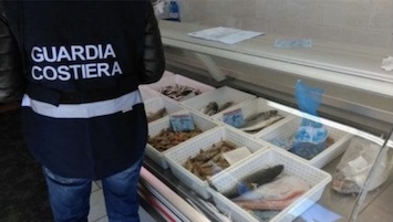 La Capitaneria stabiese sequestra un quintale di pescato non tracciabile e novellame