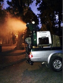 Da stasera la disinfestazione contro il virus West Nile in penisola sorrentina