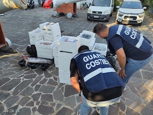 Prodotti ittici non tracciati, la Capitaneria stabiese sequestra 390 kg di pescato
