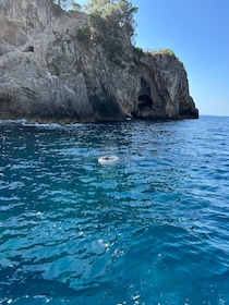 La foca monaca torna a visitare il Parco di Punta Campanella