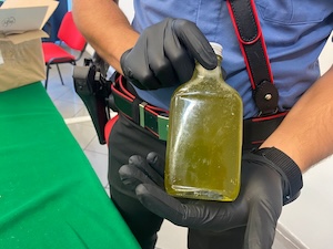 A Castellammare 24enne distilla il liquore alla marijuana, arrestato