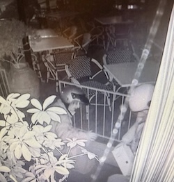 Sorrento. Rubano cassette di vino da un ristorante in centro. Il titolare: Se le chiedevano gliele davo