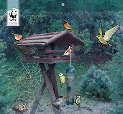 Sant’Agnello. L’Oasi in città protagonista del calendario Wwf