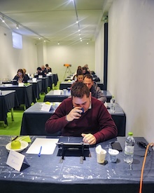 Il Premio Sorrento “Olio delle Sirene” in vetrina al Sol Expo di Verona