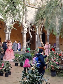 Sorrento. Nel weekend torna la Mostra delle Camelie