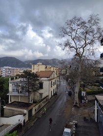 Sant’Agnello. Il tree climbing per potare platano di 30 metri