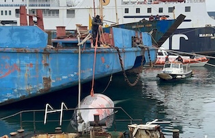 Morta la balenottera del porto di Napoli come accadde a Sorrento – video –