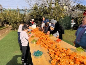 Sorrento. Più di 200 bambini allo Spremuta Day 2026 – foto –