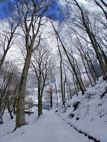 Vico Equense. Primavera con la neve sul Vesuvio e sul Faito – foto e video –