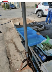 Venditore abusivo di frutti di mare a bordo strada, scatta il sequestro
