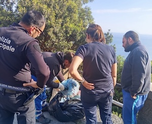 Vico Equense. Rifiuti abbandonati a Tordigliano, scattano le multe