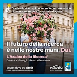 Festa della Mamma con le azalee della ricerca contro il cancro, ecco dove trovarle in penisola sorrentina
