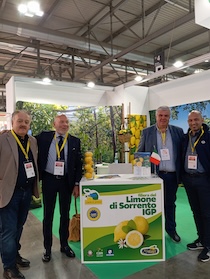 Il Limone di Sorrento Igp in vetrina al TuttoFood di Milano
