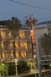 Sorrento. Palma in fiamme vicino ai binari della Circumvesuviana