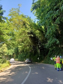 Sorrento. Effettuato l’intervento sugli alberi, riaperta la statale 145