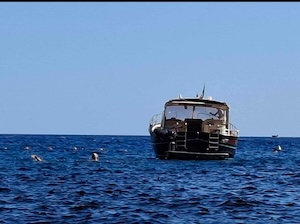 Massa Lubrense. Barca viola le boe del fiordo di Crapolla, dura condanna della presidente dell’Amp Punta Campanella