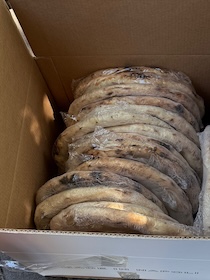 Sorrento. Con 240 pizze surgelate nell’auto senza frigo, sanzionato