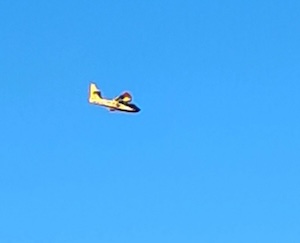 Vico Equense. Canadair ed elicotteri in azione per domare l’incendio – video –