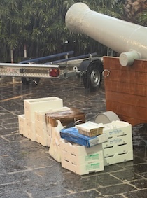 Circa 260 kg di pescato non tracciabile sequestrato dalla Guardia Costiera stabiese